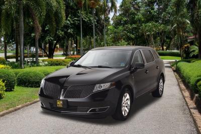 Traslado privado de Atlanta: del aeropuerto al hotel