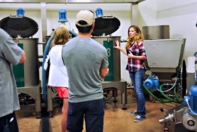 Texas Hill Country Olive Mill Tour y Virgen Extra 101 Texas Hill Country Olive Mill Tour y Virgen Extra 101