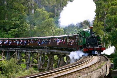 Recorrido privado por las gamas de Dandenong, incluido Puffing Billy