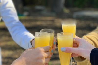 Yoga al aire libre y mimosas Yoga al aire libre y mimosas