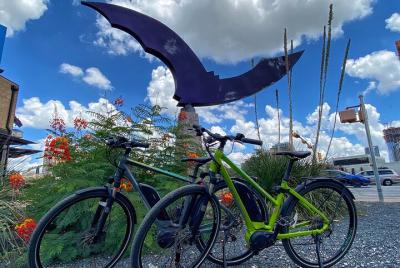 ¡Murciélagos en bicicletas! Tour en bicicleta eléctrica desde Barton Springs ¡Murciélagos en bicicletas! Tour en bicicleta eléctrica desde Barton Springs