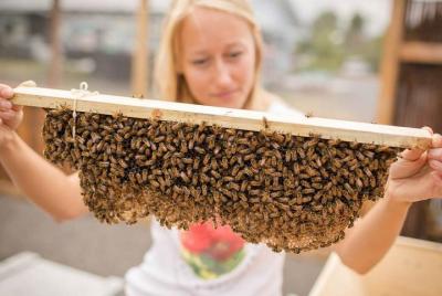 Recorrido por Kona: plantación de café, bahía de Kealakekua, parque de Kaloko-Honokohau y granja de abejas Recorrido por Kona: plantación de café, bahía de Kealakekua, parque de Kaloko-Honokohau y granja de abejas