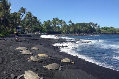 Tour en grupo pequeño Hawaii Big Island Circle: Cascadas - Hilo - Volcano - Black Sand Beach Tour en grupo pequeño Hawaii Big Island Circle: Cascadas - Hilo - Volcano - Black Sand Beach