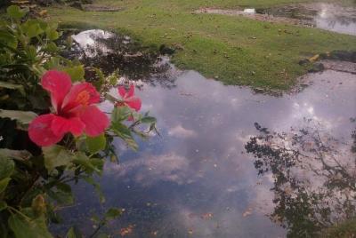 Legends of the Waterfalls & Volcano Full-Day Tour (Hilo, Hawái)