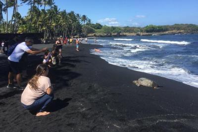 Visita a la Isla Grande para grupos pequeños: Parque Nacional de los Volcanes de Hawái y finca de café de Kona Visita a la Isla Grande para grupos pequeños: Parque Nacional de los Volcanes de Hawái y finca de café de Kona