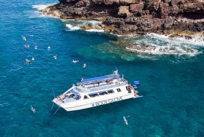 Esnórquel y delfín: Aventura a bordo de catamarán de lujo. Esnórquel y delfín: Aventura a bordo de catamarán de lujo.