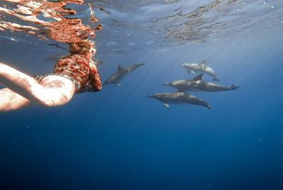 Tour de esnórquel matutino de 4-5 horas en Kailua-Kona