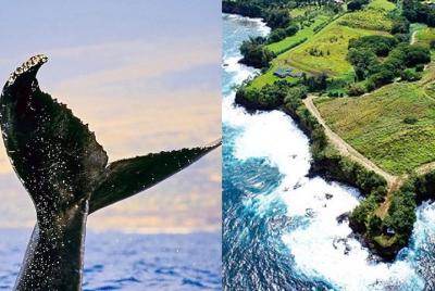 Hāmākua histórico crucero por la tarde en Hawai Hāmākua histórico crucero por la tarde en Hawai