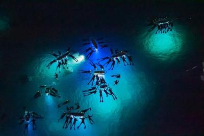 Manta Ray Night Snorkel Adventure