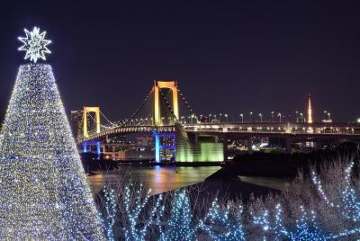 Navidad en Tokio: experiencia privada con un anfitrión de la ciud