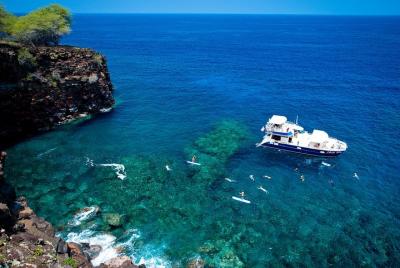 Tour de snorkel en la costa de Kona Tour de snorkel en la costa de Kona