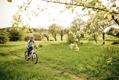 Excursión privada en bicicleta fácil por los parques de Praga