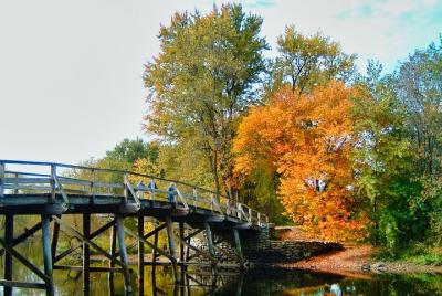 Excursión privada a la histórica Concordia