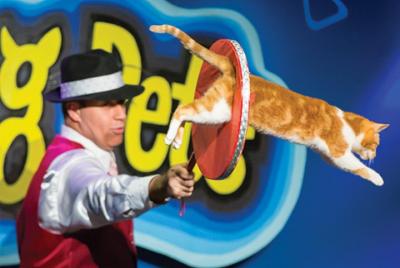 Amazing Pets Show en Branson