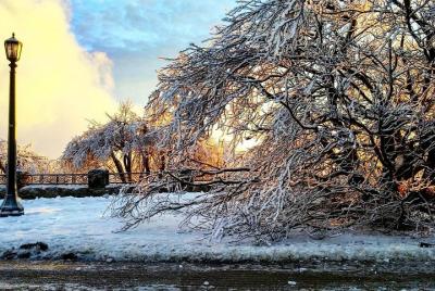 Excursión privada personalizada a las cataratas del Niágara, Canadá, desde Buffalo, NY