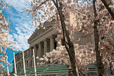 Boleto de entrada general al Museo de Brooklyn