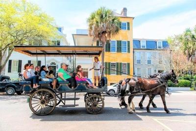 Paseo en carruaje por la histórica Charleston Paseo en carruaje por la histórica Charleston