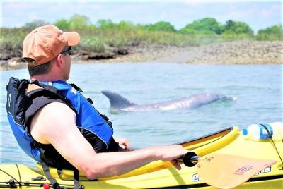 Tour ecológico guiado en kayak de 2 horas en Charleston Tour ecológico guiado en kayak de 2 horas en Charleston