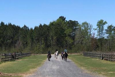 Paseo a caballo en la plantación de Poplar Grove para grupos pequeños en Ravenel Paseo a caballo en la plantación de Poplar Grove para grupos pequeños en Ravenel