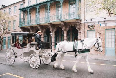 Tour privado en carruaje tirado por caballos durante el día o la noche por el histórico Charleston Tour privado en carruaje tirado por caballos durante el día o la noche por el histórico Charleston