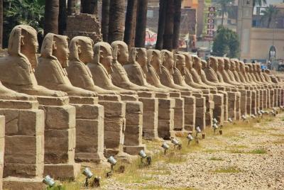 Crucero privado de 4 días por el Nilo con templos de Abu Simbel y Crucero privado de 4 días por el Nilo con templos de Abu Simbel y