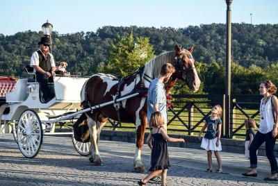 Tour privado de caballos y carruajes de Chattanooga