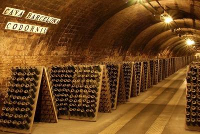 Experiencia Wine Tour en Barcelona