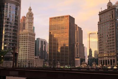 Tour guiado a pie de 2 horas por el arte y la arquitectura de Chicago