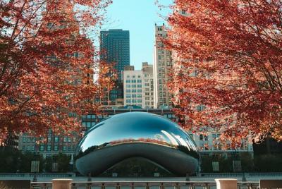 Traslado privado al aeropuerto: Aeropuerto Internacional O'Hare (ORD) a Chicago