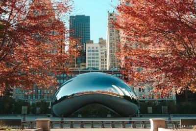 Traslado privado al aeropuerto: de Chicago al aeropuerto internacional Midway (MDW)