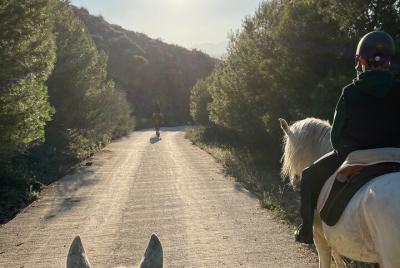 Paseo a Caballo con Guía certificado Paseo a Caballo con Guía certificado