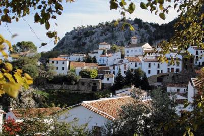 Excursión privada de un día desde Málaga: los pueblos blancos de Andalucía. Excursión privada de un día desde Málaga: los pueblos blancos de Andalucía.