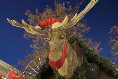 Recorridos a pie por la ciudad y los mercados navideños (privado) Recorridos a pie por la ciudad y los mercados navideños (privado)