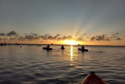 Tour en kayak al atardecer en Manatee Cove con avistamientos de manatíes y delfines Tour en kayak al atardecer en Manatee Cove con avistamientos de manatíes y delfines