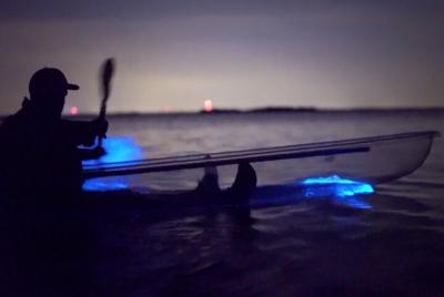 Tour de bioluminiscencia de Clear Kayak Florida | Baliza 42 (Titusville)
