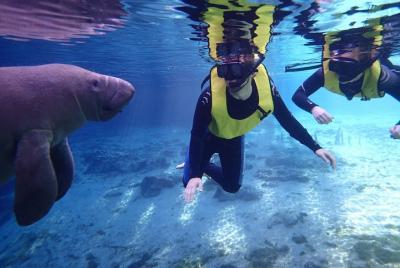 Recorrido en barco Fresh n Salty por la costa natural de Florida