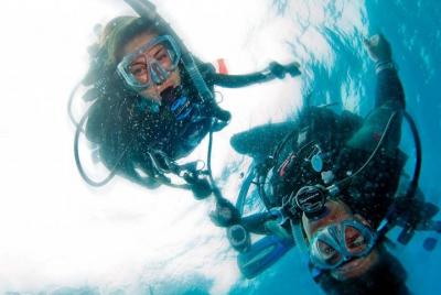 Prueba el buceo en Crystal River con la opción de piscina o manantiales