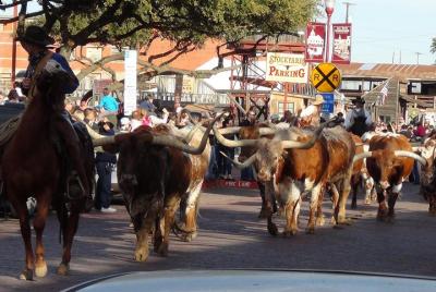 Excursión guiada de medio día por lo mejor de la excursión histórica de Fort Worth Excursión guiada de medio día por lo mejor de la excursión histórica de Fort Worth