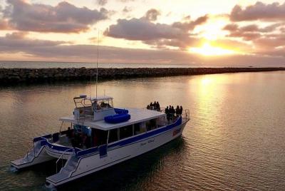 Catamarán de lujo al atardecer y crucero en barco desde Dana Point