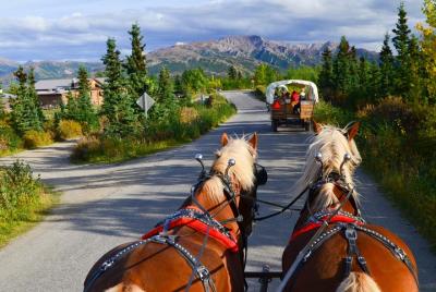 Paseo en carro cubierto por caballos con cena en el campo