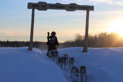 Mush Your Own Sled Dog Team (Tour de invierno)
