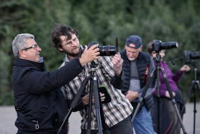 Excursión fotográfica Denali