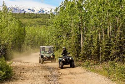 Recorrido de 2,5 horas en vehículo todoterreno por el parque nacional Denali en Alaska