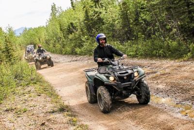 Recorrido campo a través de 3,5 horas en vehículo todoterreno en Denali