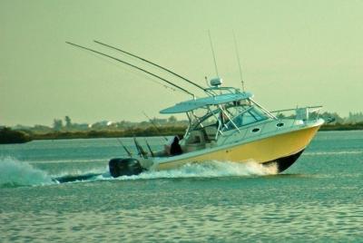 Pesca costera de 4 horas (charters de agua corriente)