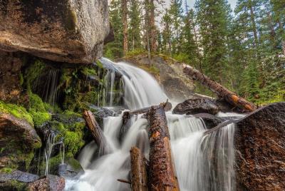 Explora y fotografía Wild Basin en el Parque Nacional Rocky Mountain con un profesional
