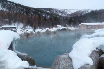 Excursión nocturna para ver la aurora boreal y visitar Chena Hot Springs desde Fairbanks