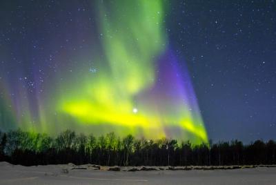 Excursión para ver la aurora boreal y las aguas termales de Chena desde Fairbanks