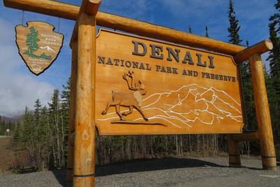10 horas de Denali Winter Drive en Alaska