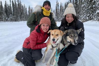 Trineo de perros y experiencia de mushing Trineo de perros y experiencia de mushing